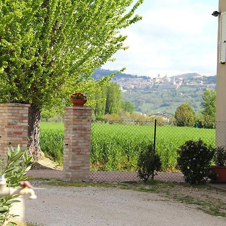 Il Turricone Bed & Breakfast Assisi Exterior photo