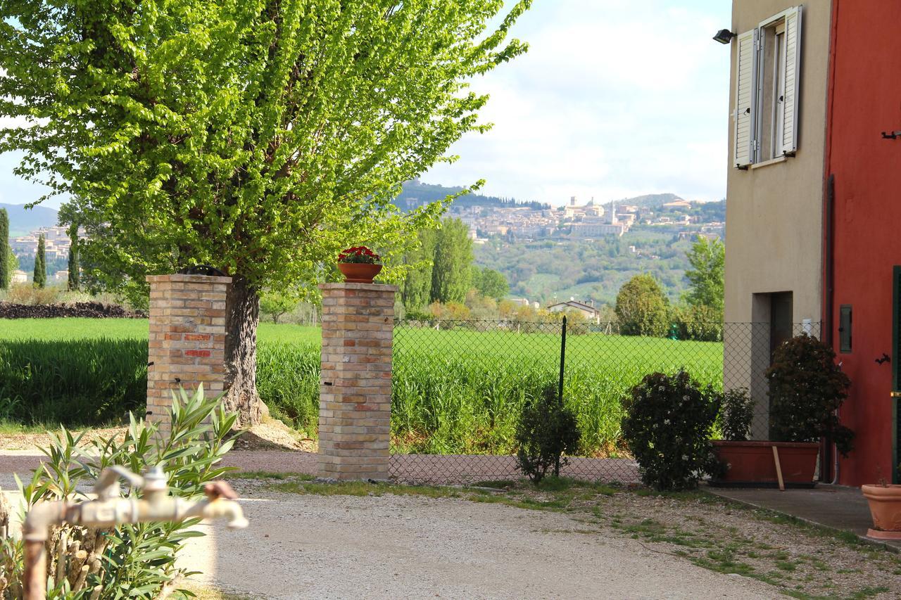 Il Turricone Bed & Breakfast Assisi Exterior photo