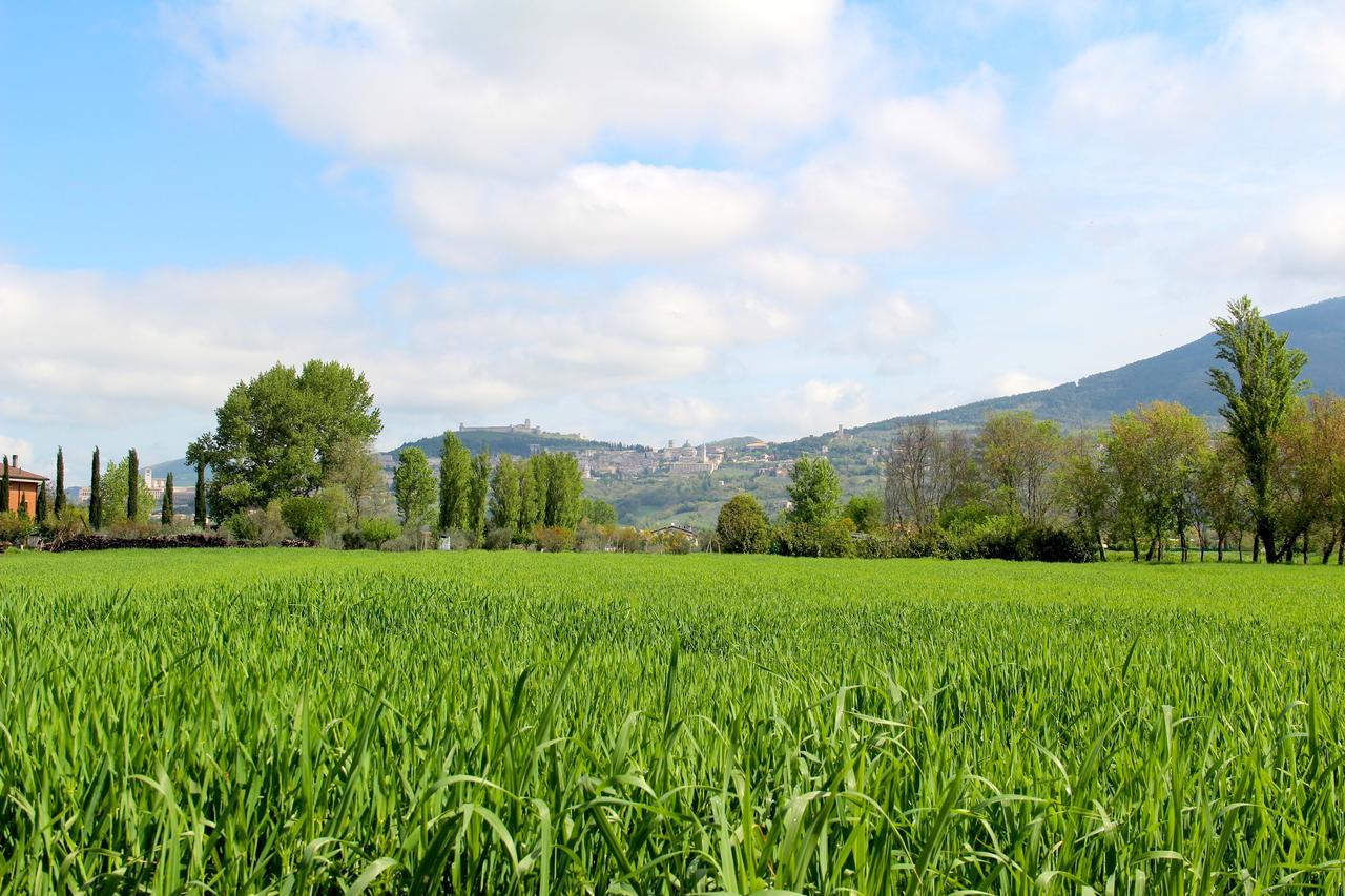 Il Turricone Bed & Breakfast Assisi Exterior photo